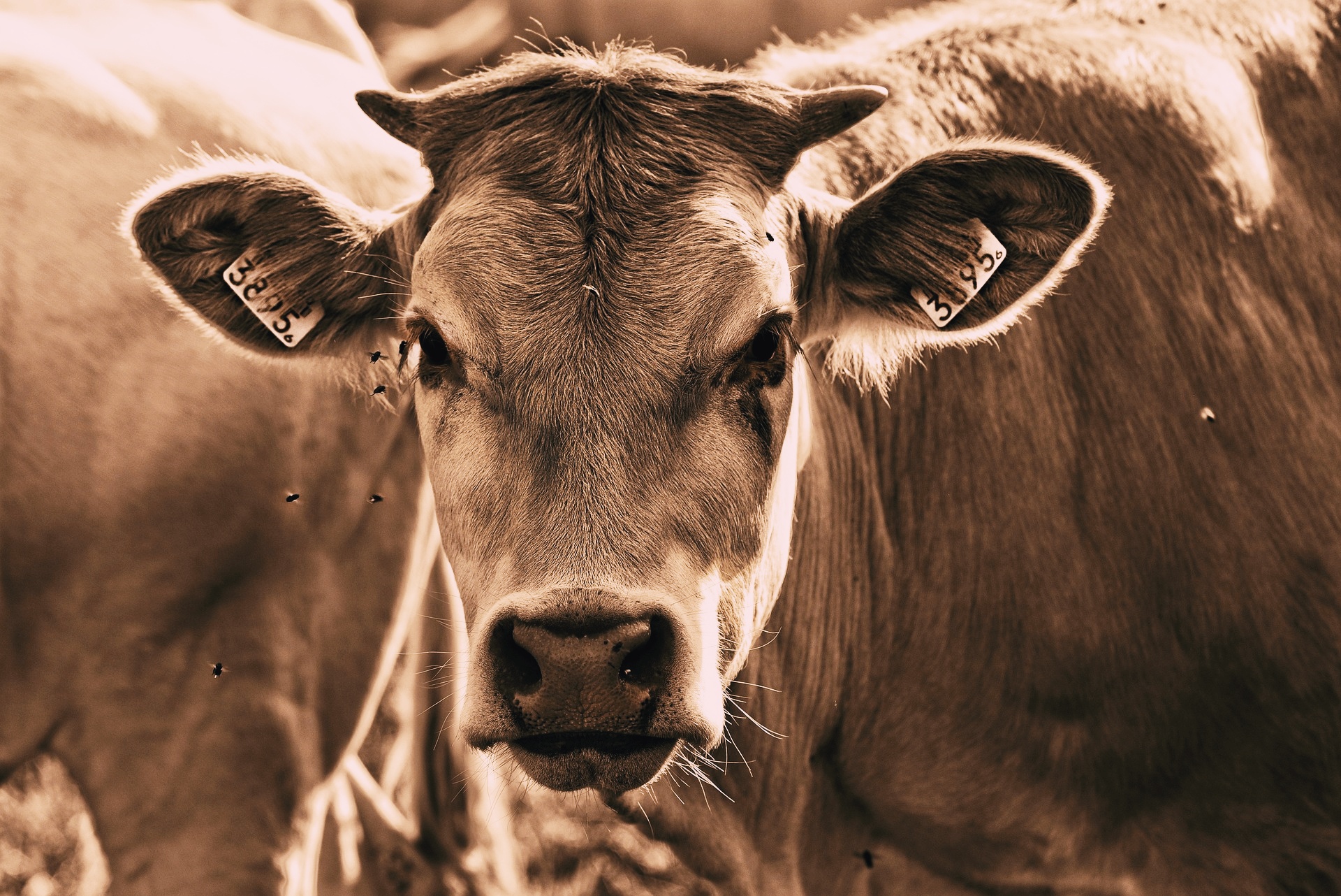 Wie Geld richtig anlegen 2025 Grafik